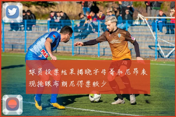 球员投票结果揭晓字母哥和尼昂表现抢眼布朗尼得票较少