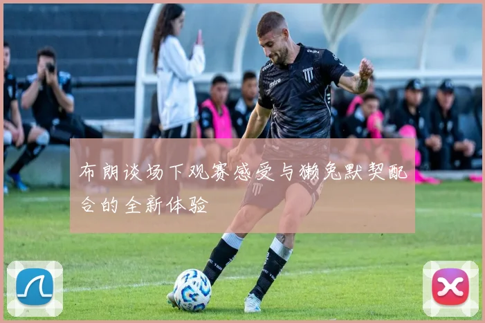 布朗谈场下观赛感受与獭兔默契配合的全新体验